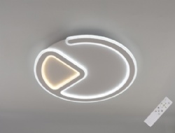 LED Modern Light